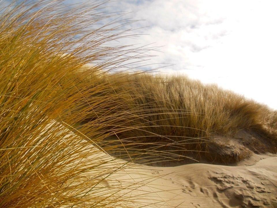 Zeeduin, Met Zonnig Terras - Volledige Keuken- Resort Amelander Kaap, Incl Verwarmd Hotel-Zwembad Nabij Dorp, Duinen En Strand Hollum  Quarto foto
