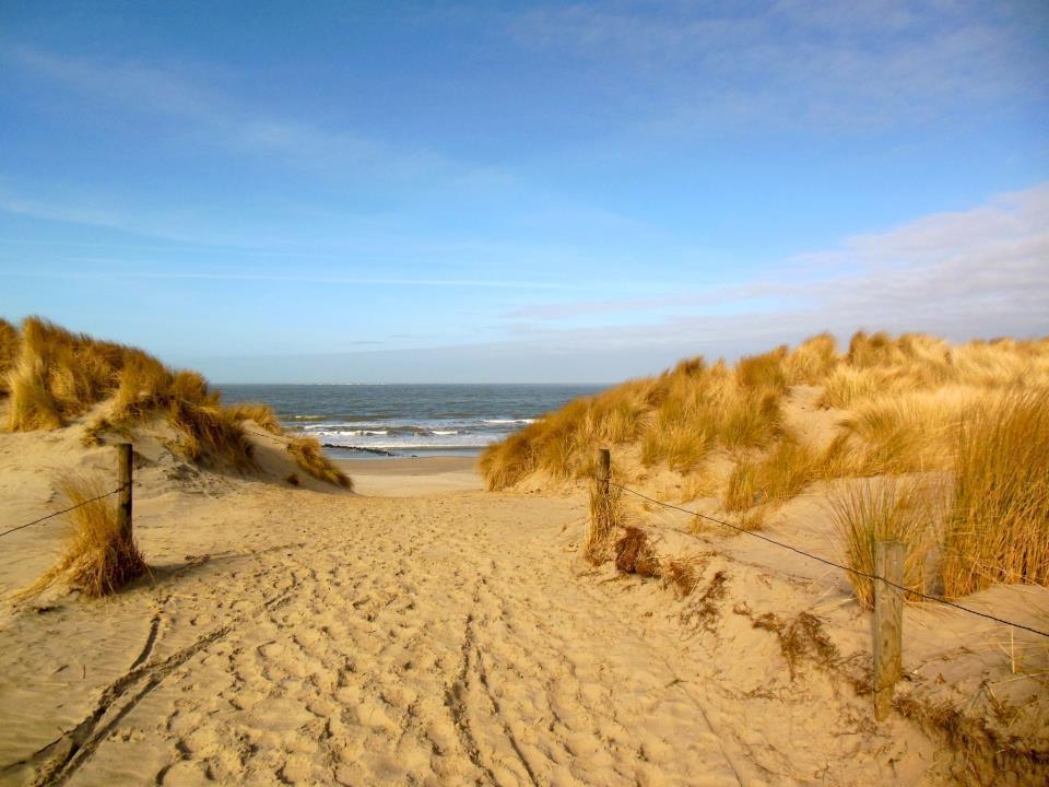 Zeeduin, Met Zonnig Terras - Volledige Keuken- Resort Amelander Kaap, Incl Verwarmd Hotel-Zwembad Nabij Dorp, Duinen En Strand Hollum  Exterior foto